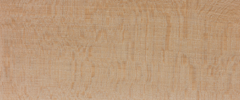 Beech Species Swatch